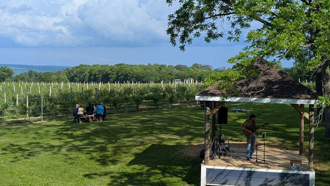 Spend a Summer Saturday with Me at Airy Acres Vineyard on Saturday July 25th!
