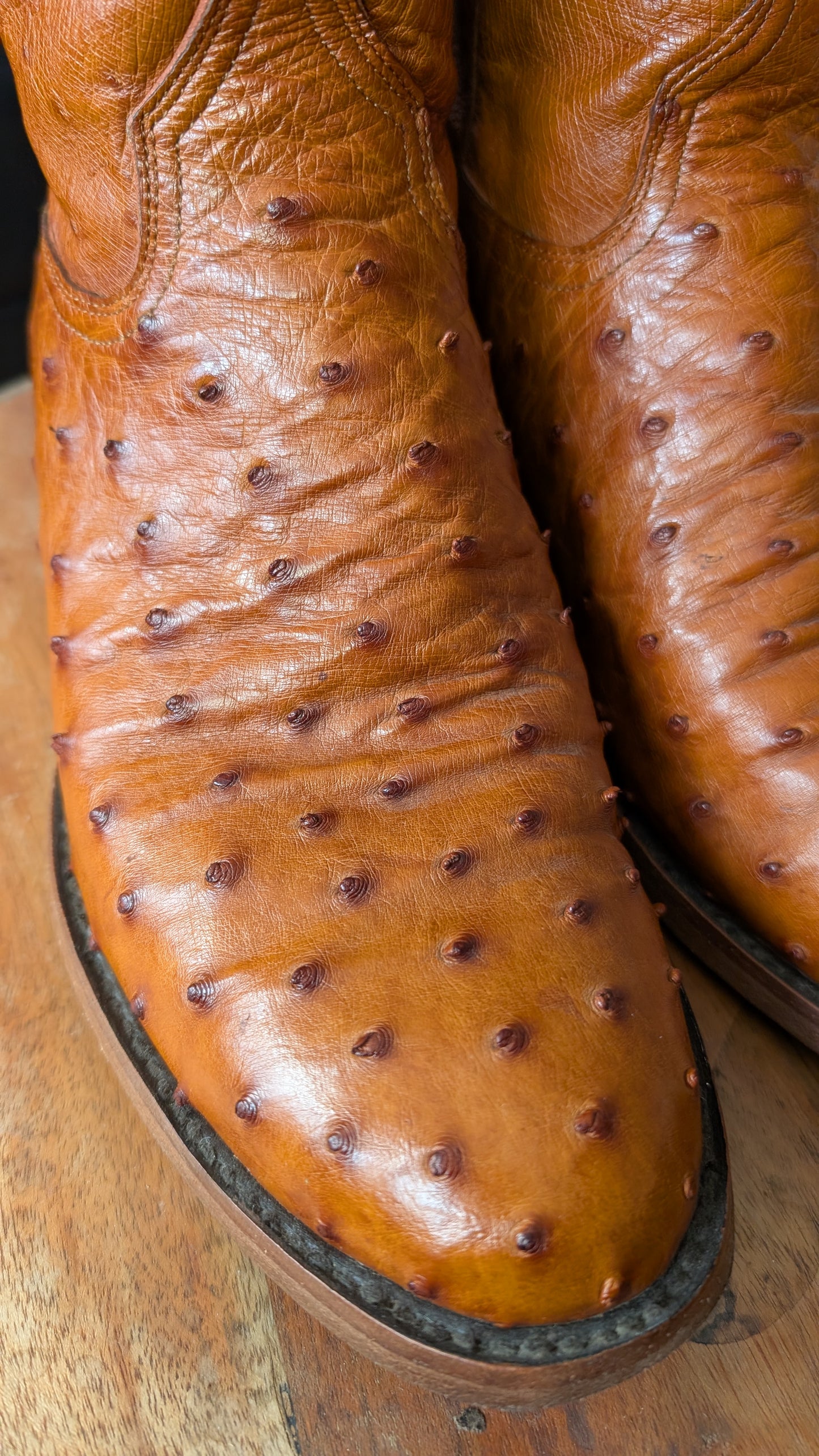 Chisos King Roper Size 11D